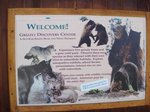 クマとオオカミのレスキューセンター