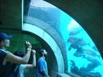 nov24-atlantis-aquarium.jpg