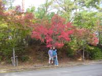 紅葉のきれいな高雄